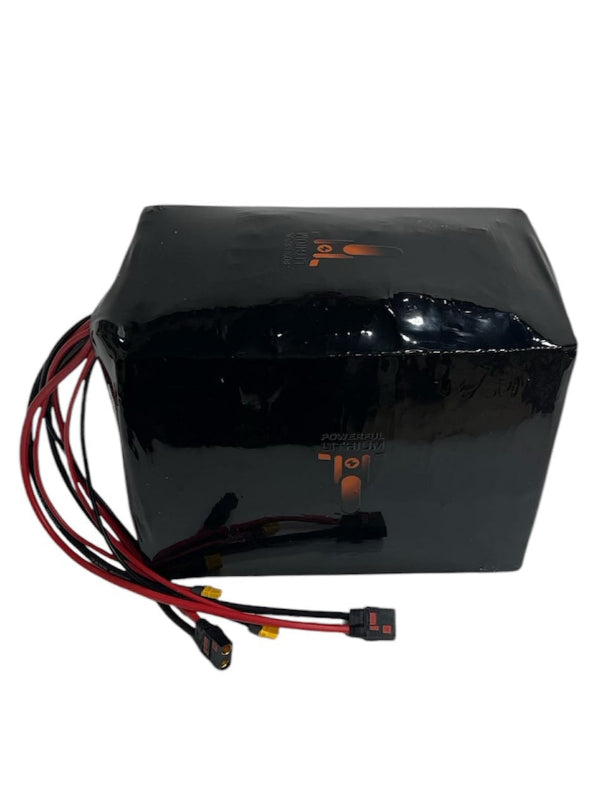 96V 'Deimos 96' Battery Upgrade for RZ - Powerful Lithium